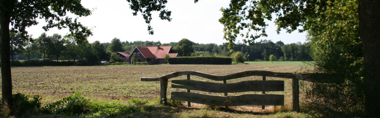 Ondernemers