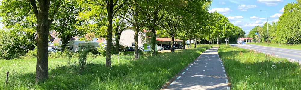Activiteiten