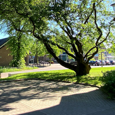 Thijplein